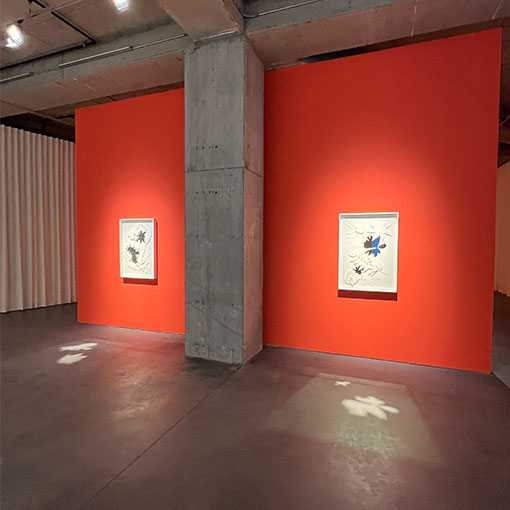 Dirimart Sanat Galerisi