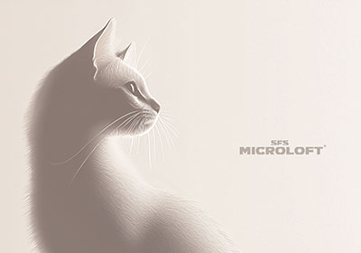 SFS Microloft